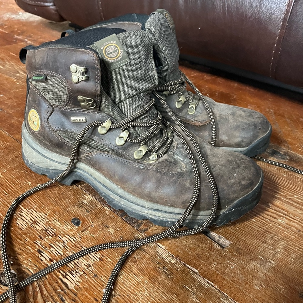 Timberland Men's Dark Brown Hiking Boots